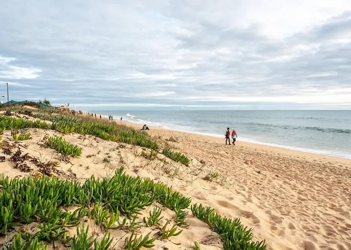 Blife Benya Private *